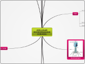 ACELLULAR MICROORGANISM (VIRUSES) - Mind Map