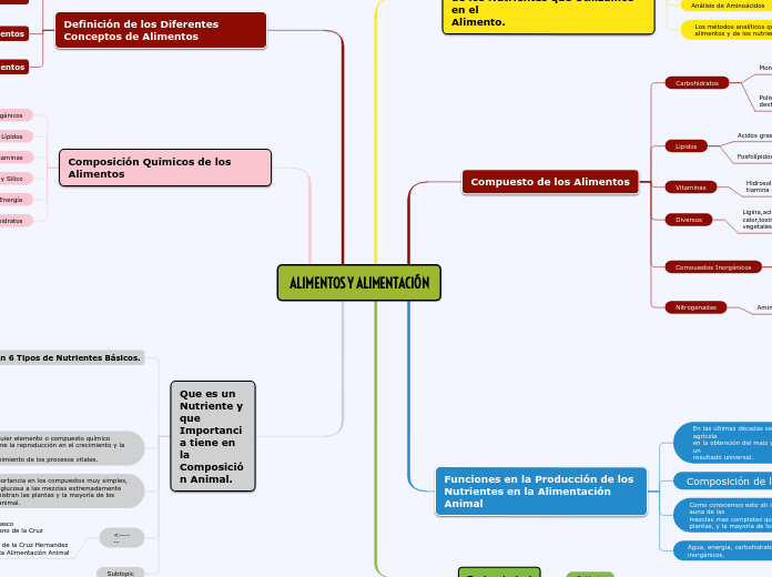 ALIMENTOS Y ALIMENTACIÓN