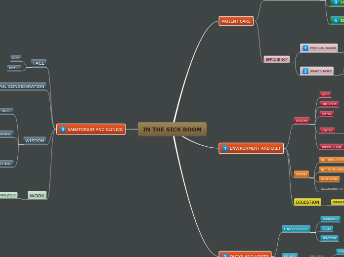 IN THE SICK ROOM - Mind Map