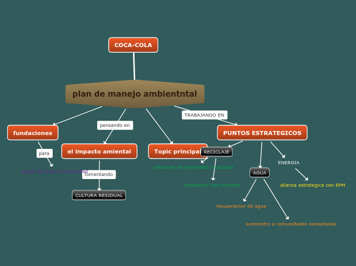 plan de manejo ambientntal - Mapa Mental