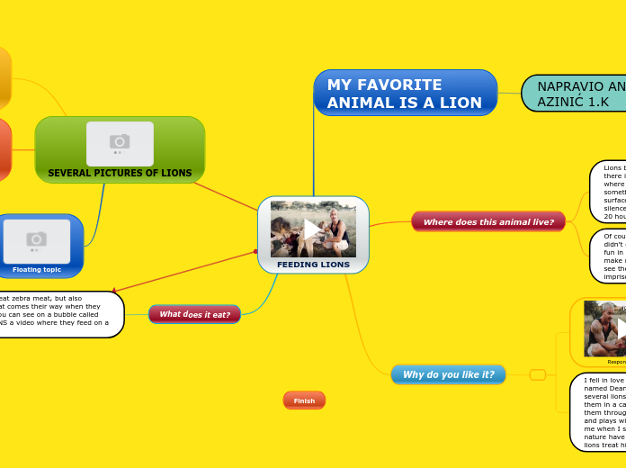 FEEDING LIONS - Mind Map