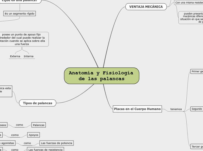 Anatomía y Fisiología de las palancas - Mapa Mental