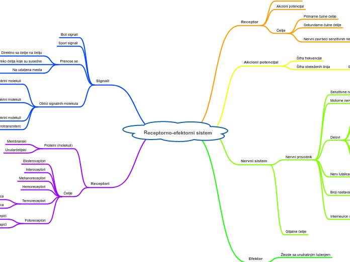 Receptorno-efektorni sistem - Mind Map