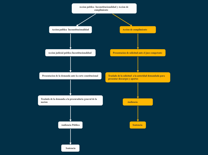 Accion publica  Inconstitucionalidad y ...- Mapa Mental