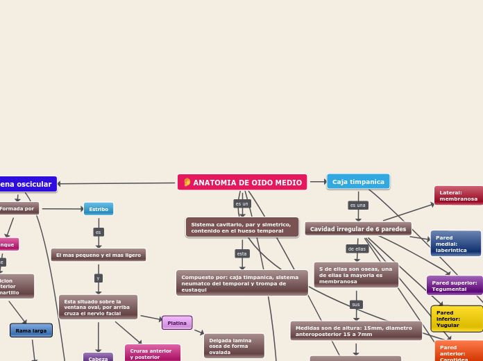 ANATOMIA DE OIDO MEDIO - Mapa Mental