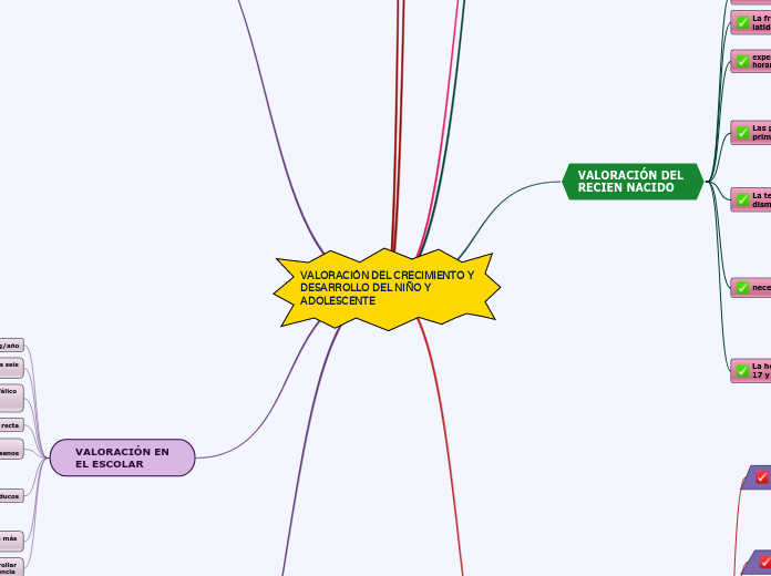VALORACIÓN DEL CRECIMIENTO Y DESARROLLO...- Mapa Mental