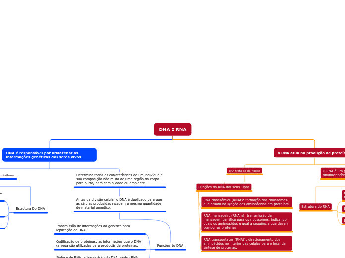 DNA E RNA - Mapa Mental