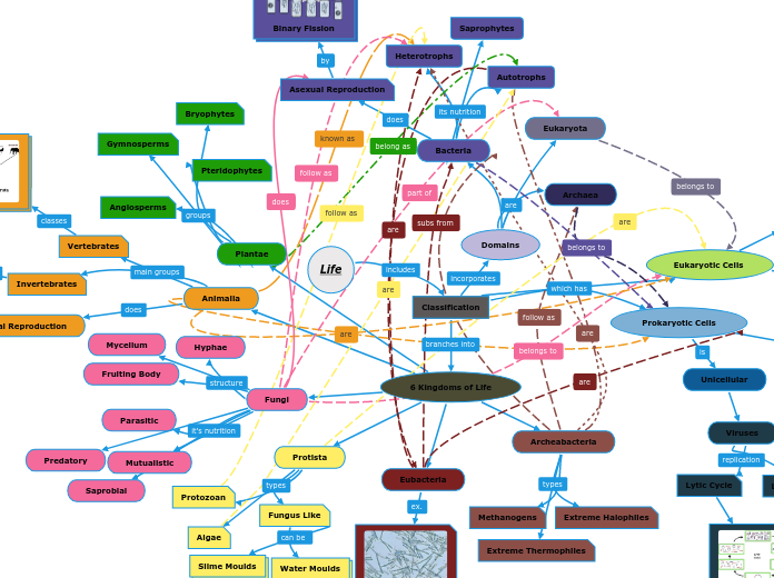 Life - Mind Map