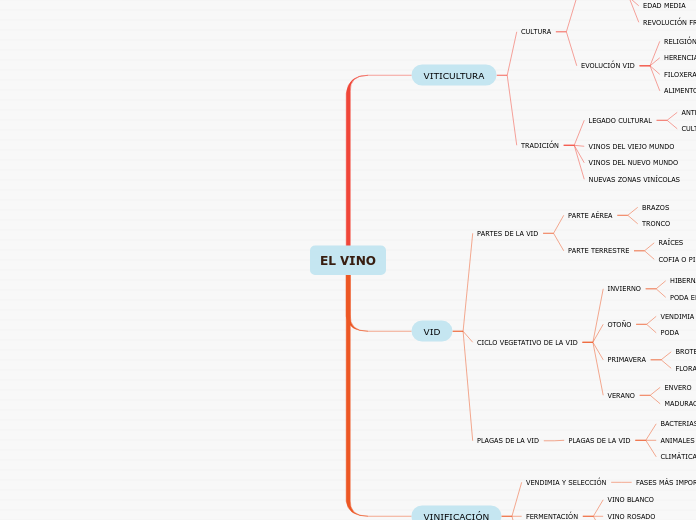 EL VINO - Mapa Mental