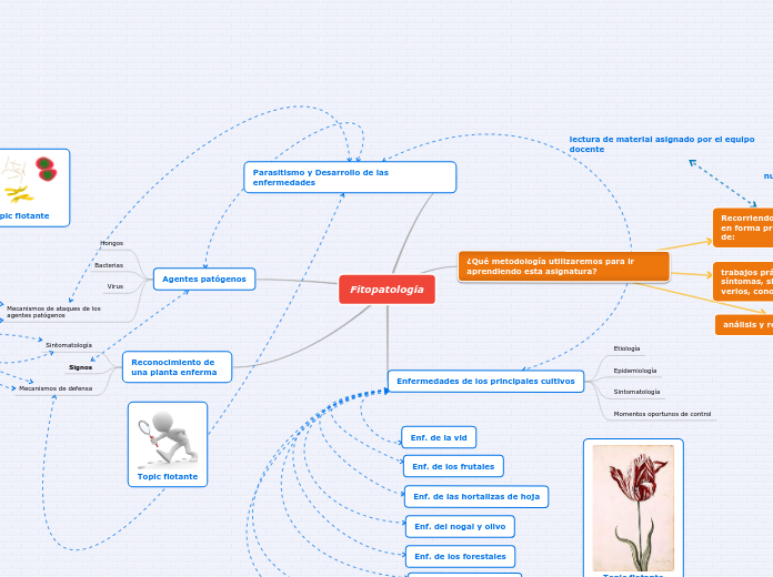 Fitopatología - Mapa Mental
