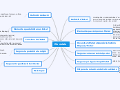 Els estats - Mapa Mental