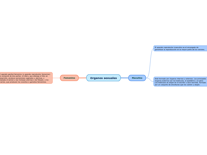 Organos sexuales