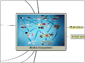 Marine Ecosystems - Mind Map