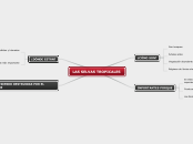 LAS SELVAS TROPICALES - Mapa Mental