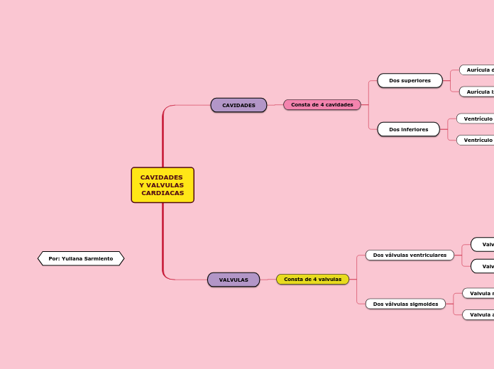 CAVIDADES Y VALVULAS CARDIACAS - Mapa Mental