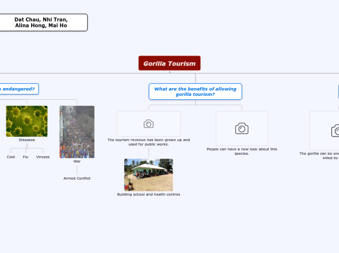 Gorilla Tourism Gorilla Tourism