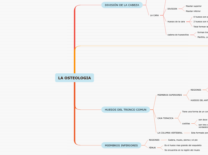 LA OSTEOLOGIA