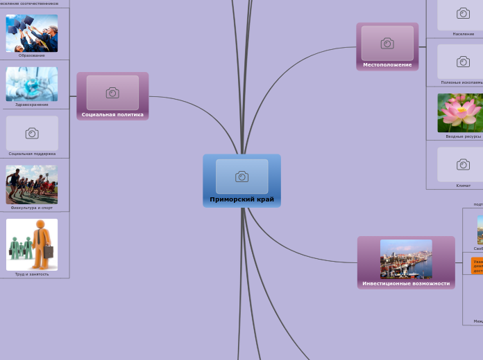 Приморский край - Мыслительная карта