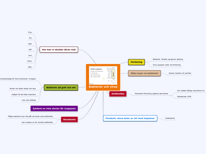 Bakterier och virus - Tankekarta