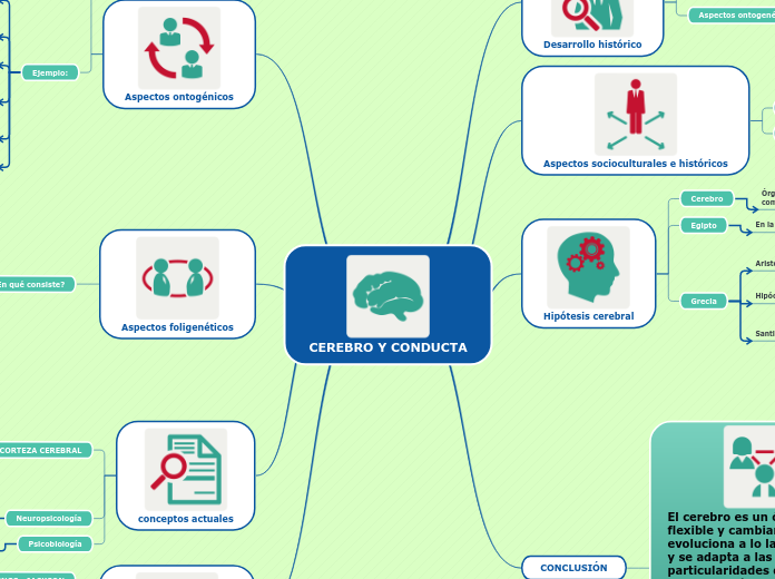 CEREBRO Y CONDUCTA - Mind Map