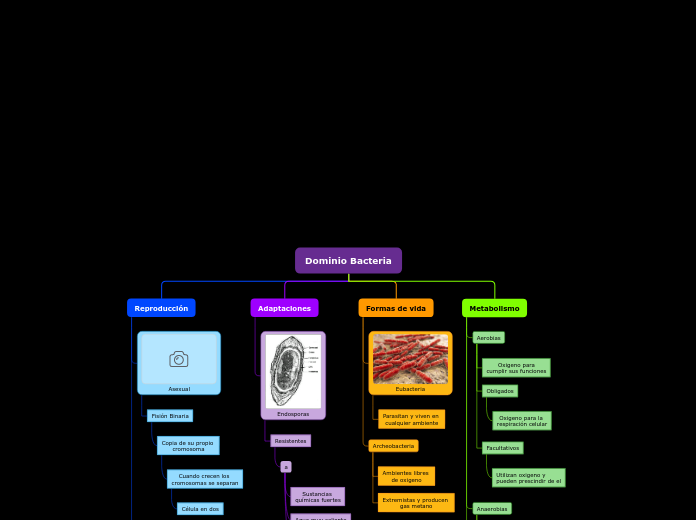 Dominio Bacteria