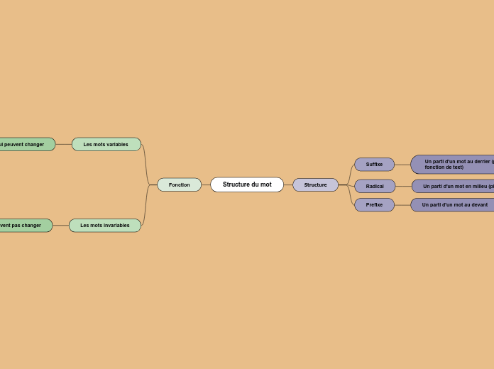 Structure du mot - Carte Mentale