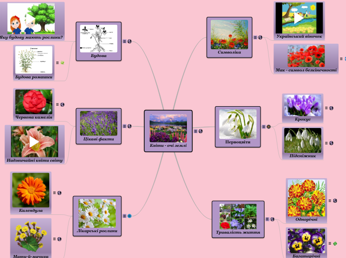Квіти - очі землі - Мыслительная карта