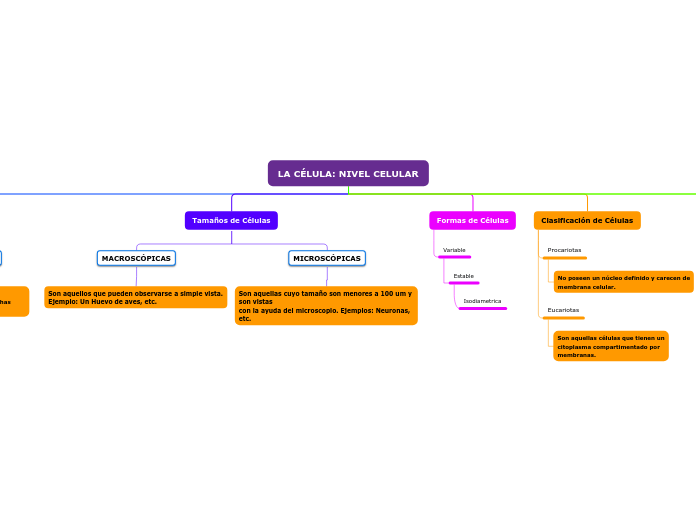 LA CÉLULA: NIVEL CELULAR - Mapa Mental