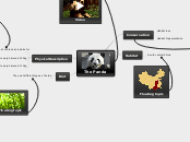 The Panda - Mind Map