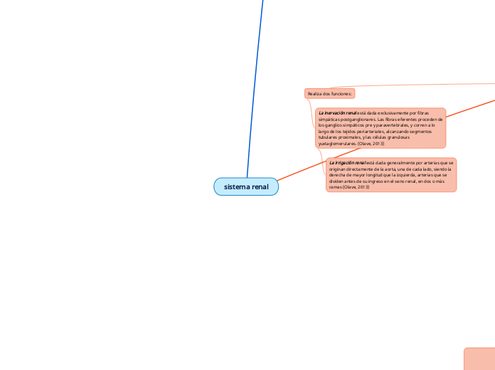 sistema renal - Mapa Mental