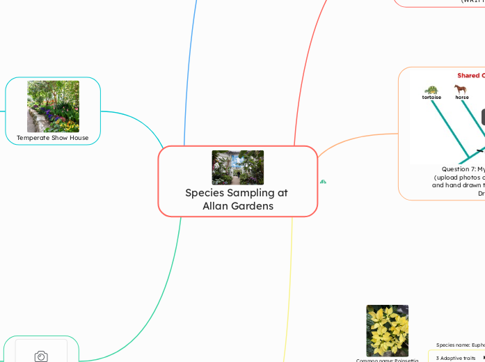 Species Sampling at Allan Gardens - Mind Map