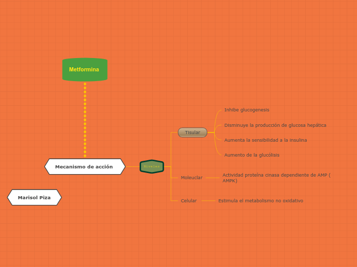 Metformina  - Mapa Mental