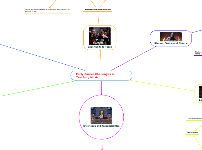 Early Career Challenges in Teaching Music