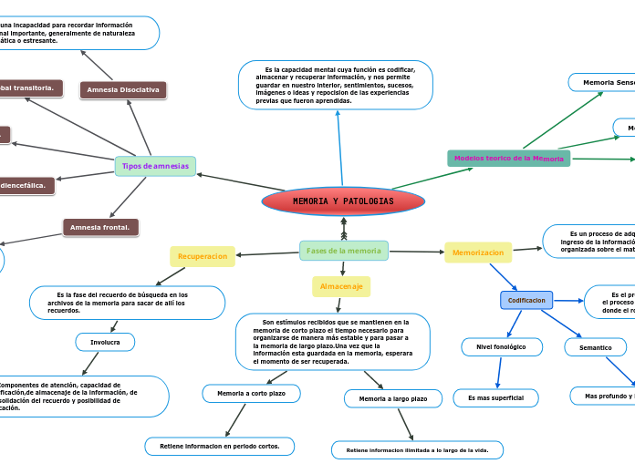 MEMORIA Y PATOLOGIAS