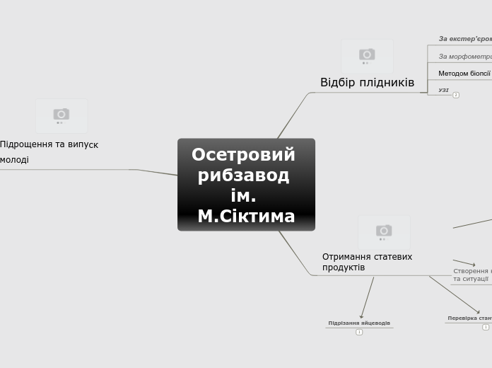 Осетровий рибзавод ім. М.Сіктима