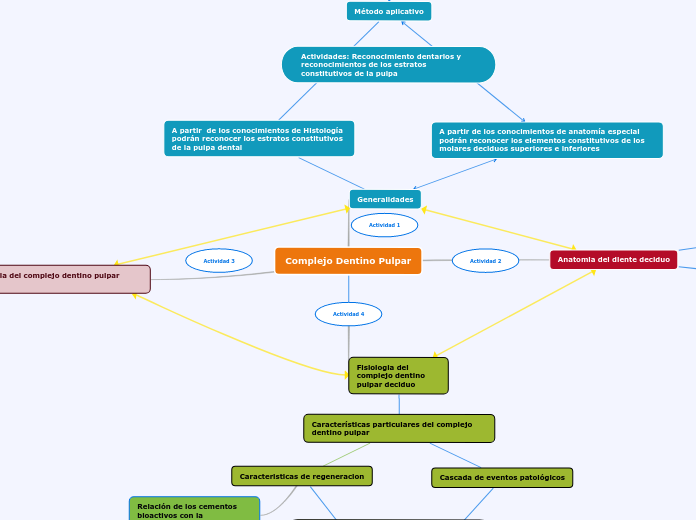 Complejo Dentino Pulpar - Mapa Mental