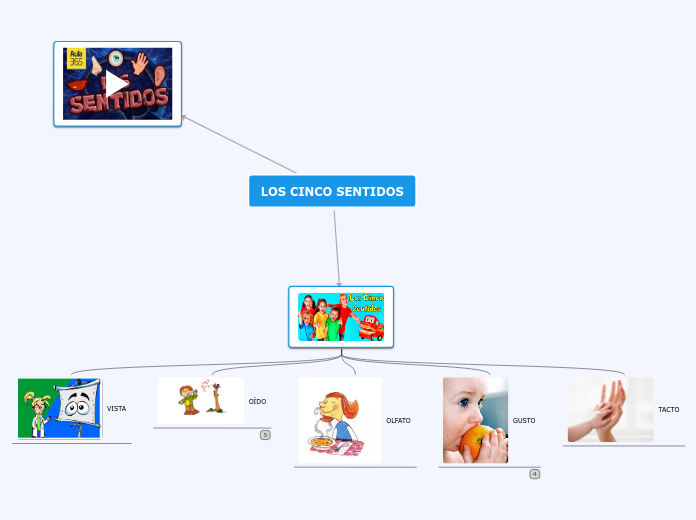 LOS CINCO SENTIDOS - Mind Map