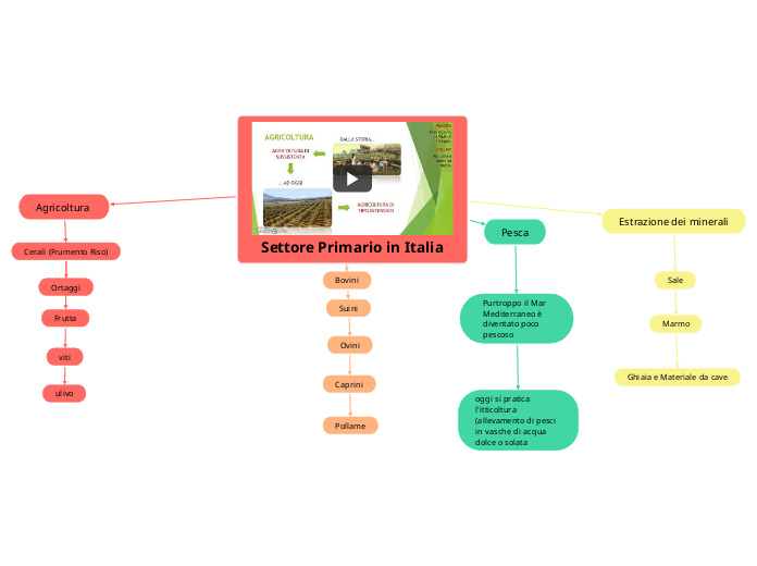 Settore Primario in Italia 