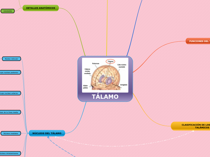 TÁLAMO - Mapa Mental