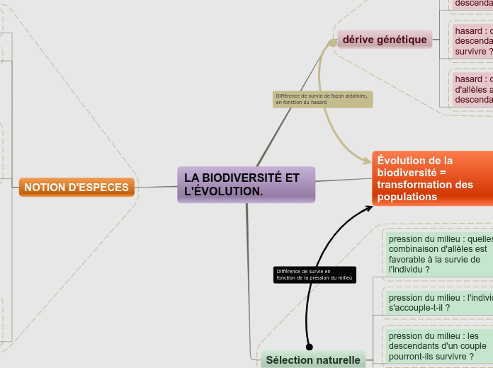 LA BIODIVERSITÉ ET L'ÉVOLUTION.
 - Carte Mentale