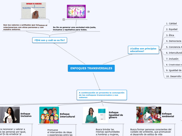 ENFOQUES TRANSVERSALES - Mapa Mental