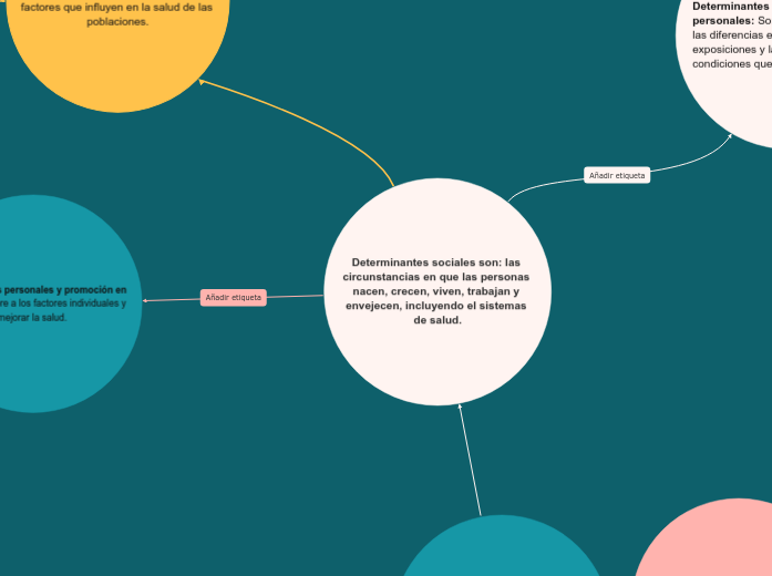 Determinantes sociales son: las circuns...- Mapa Mental