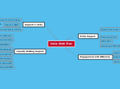 India Work Plan - Mind Map