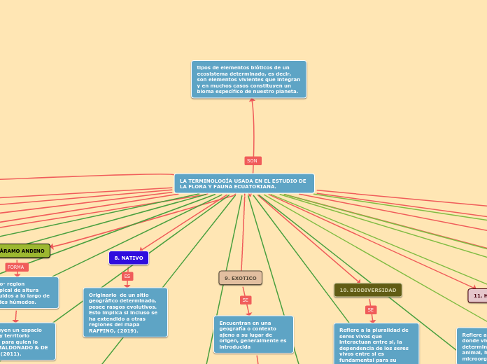 LA TERMINOLOGÍA USADA EN EL ESTUDIO DE ...- Mapa Mental