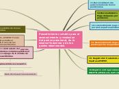 Procedimiento contable para el reconoci...- Mapa Mental