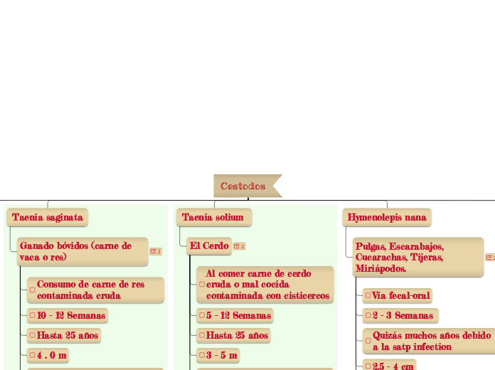 Cestodos - Mapa Mental