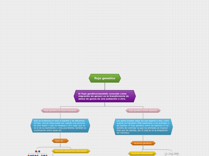 flujo genetico - Mapa Mental
