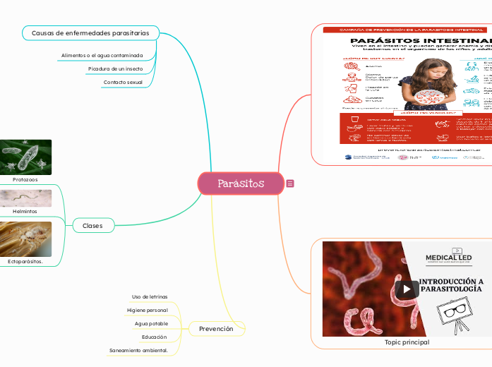 Parásitos - Mapa Mental