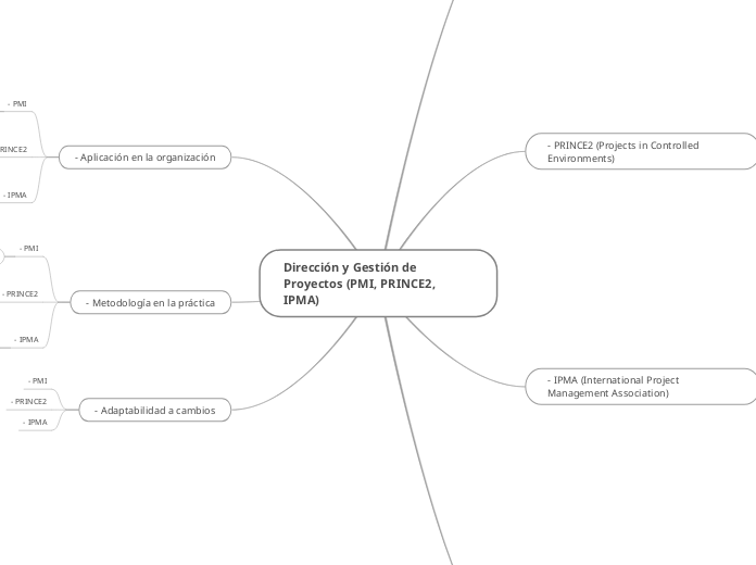 Dirección y Gestión de Proyectos (PMI, ...- Mapa Mental