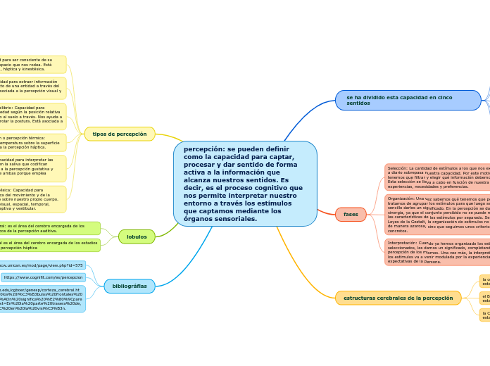 percepción: se pueden definir como la c...- Mapa Mental